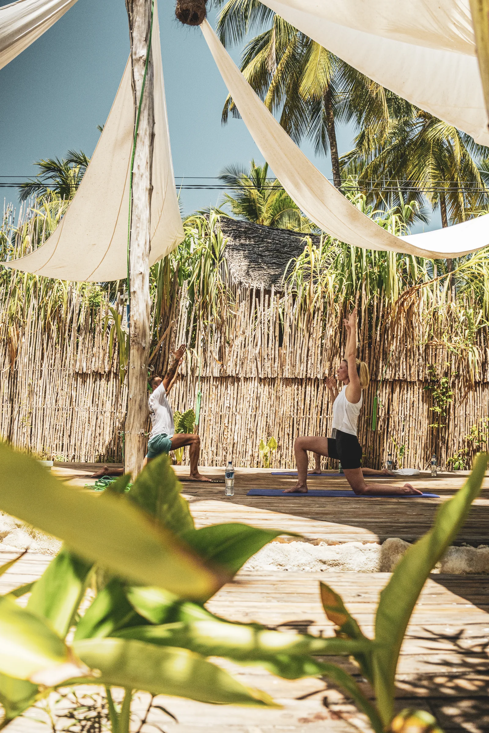 Yoga studio on a wooden platform set among the vegetation